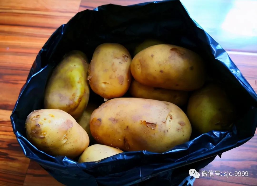 土豆怎么样保存才能不发芽，注意干燥通风、避光温度适宜