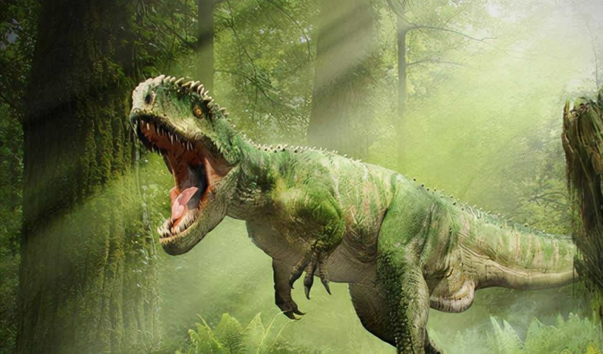 中国发现了一只活恐龙，真相很搞笑（文末有视频）