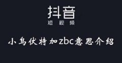 抖音zbc是什么梗：抖音zbc是谁？